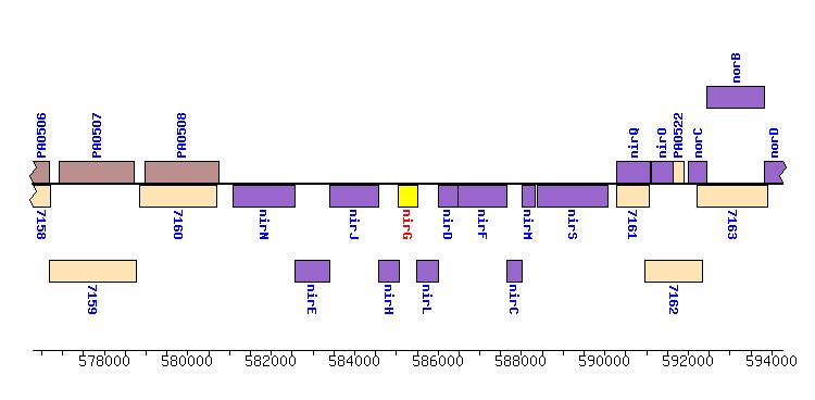 GenNotator: ViewGene