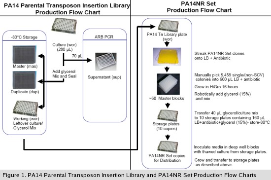 PA14NR Set Production