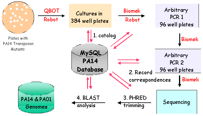 PATIMDB System Structural Diagram